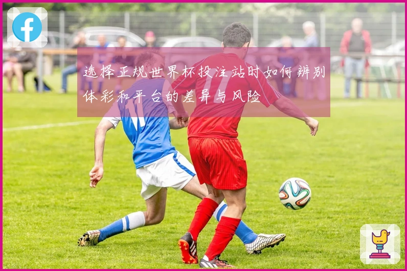 选择正规世界杯投注站时如何辨别体彩和平台的差异与风险