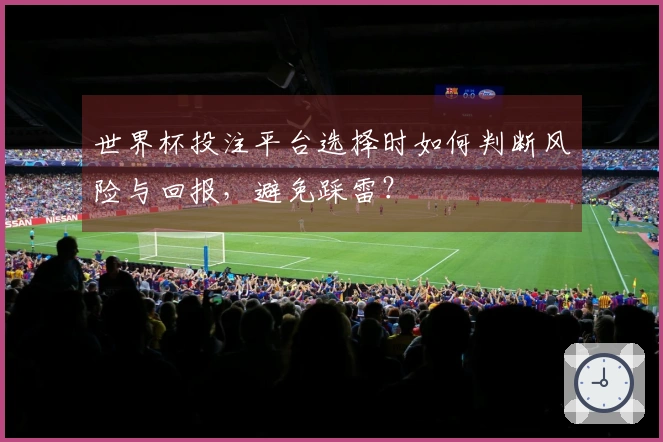世界杯投注平台选择时如何判断风险与回报，避免踩雷？
