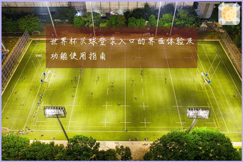 世界杯买球登录入口的界面体验及功能使用指南