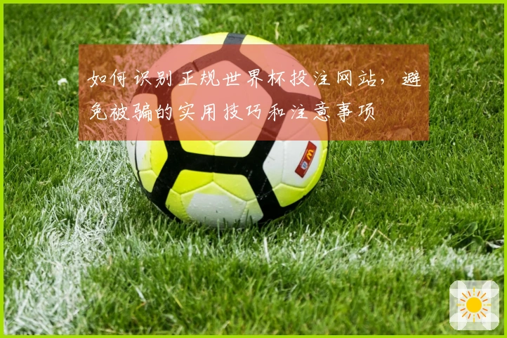 如何识别正规世界杯投注网站，避免被骗的实用技巧和注意事项