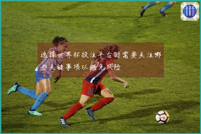 选择世界杯投注平台时需要关注哪些关键事项以避免风险