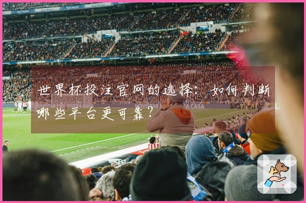 世界杯投注官网的选择:如何判断哪些平台更可靠?