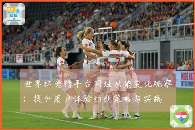 世界杯竞猜平台网址功能变化观察：提升用户体验的新策略与实践