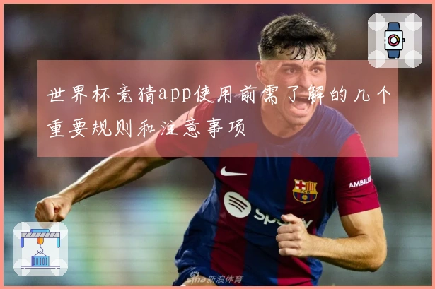 世界杯竞猜app使用前需了解的几个重要规则和注意事项