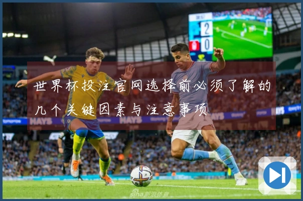 世界杯投注官网选择前必须了解的几个关键因素与注意事项