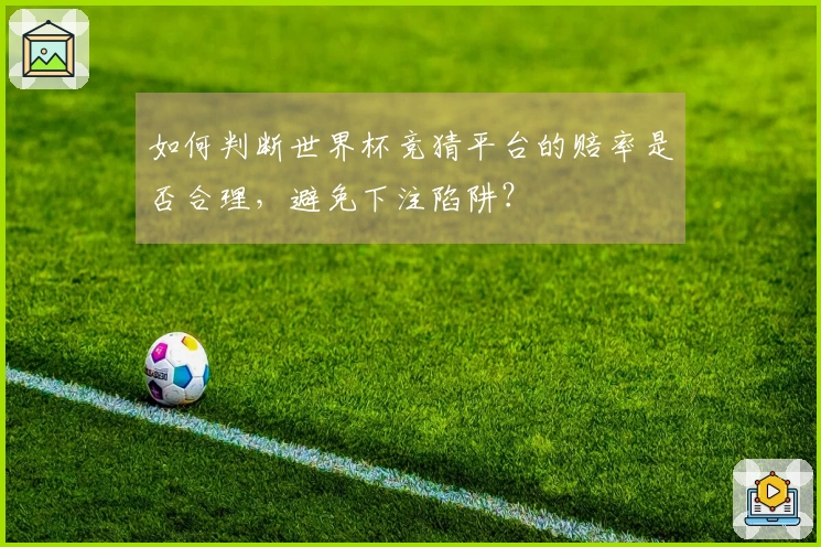 如何判断世界杯竞猜平台的赔率是否合理，避免下注陷阱？