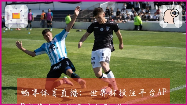 畅享体育直播：世界杯投注平台APP安装全方位用户体验指南