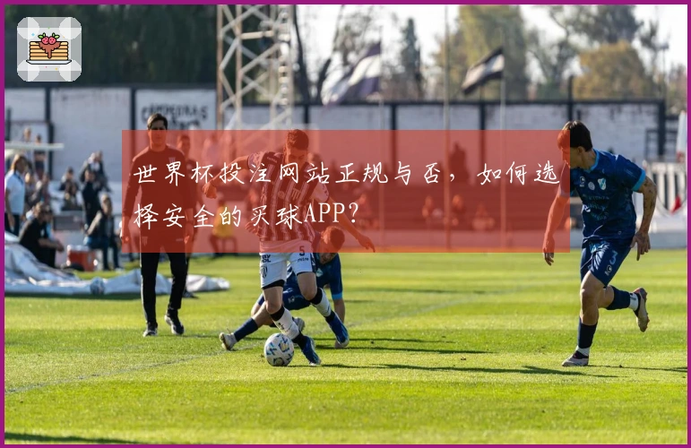 世界杯投注网站正规与否，如何选择安全的买球APP？
