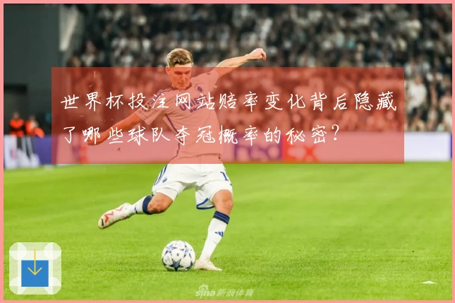 世界杯投注网站赔率变化背后隐藏了哪些球队夺冠概率的秘密？
