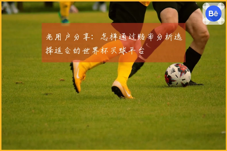 老用户分享：怎样通过赔率分析选择适合的世界杯买球平台