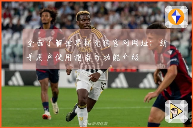 全面了解世界杯竞猜官网网址：新手用户使用指南与功能介绍