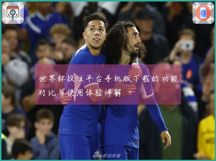 世界杯投注平台手机版下载的功能对比与使用体验详解