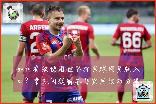 如何有效使用世界杯买球网页版入口？常见问题解答与实用技巧分享