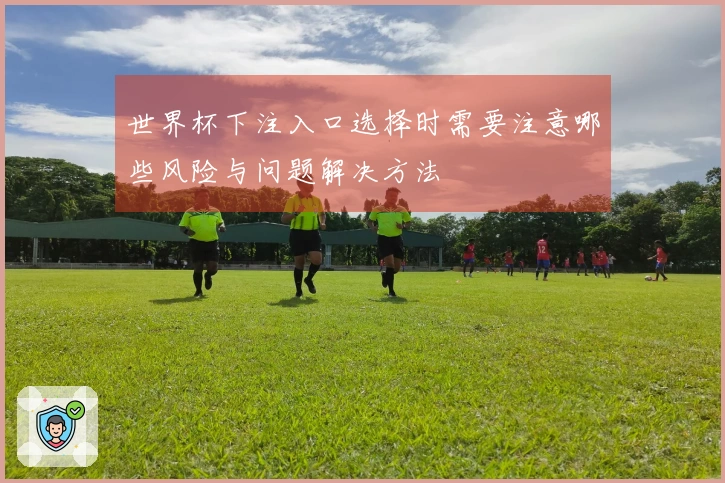 世界杯下注入口选择时需要注意哪些风险与问题解决方法
