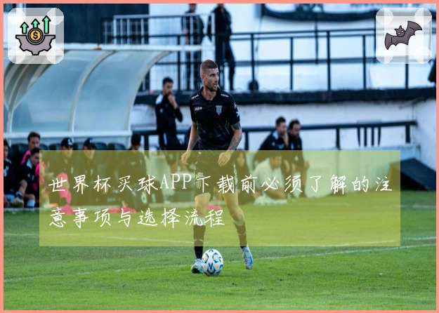 世界杯买球APP下载前必须了解的注意事项与选择流程