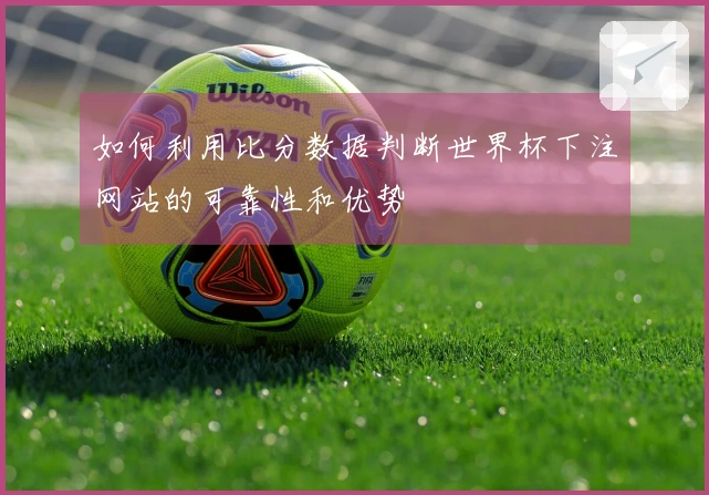 如何利用比分数据判断世界杯下注网站的可靠性和优势