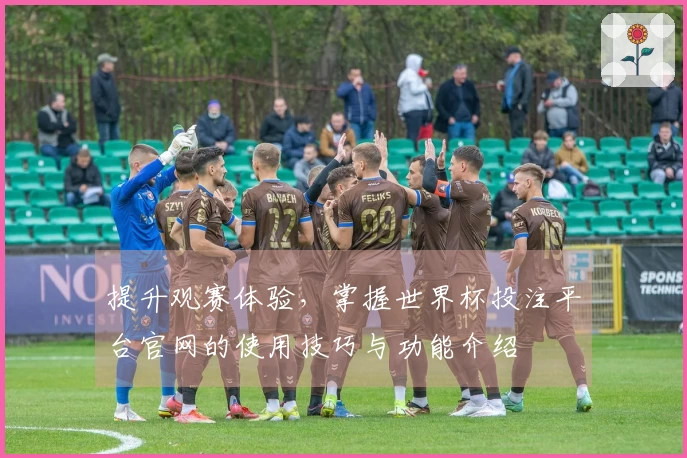 提升观赛体验，掌握世界杯投注平台官网的使用技巧与功能介绍