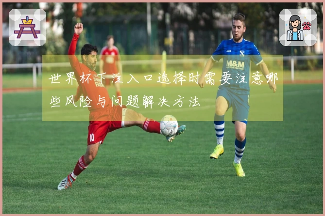 世界杯下注入口选择时需要注意哪些风险与问题解决方法