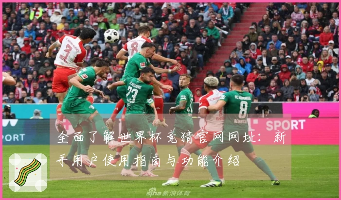 全面了解世界杯竞猜官网网址：新手用户使用指南与功能介绍