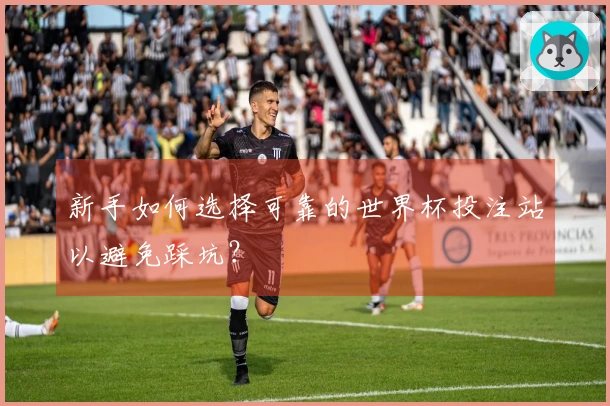 新手如何选择可靠的世界杯投注站以避免踩坑？