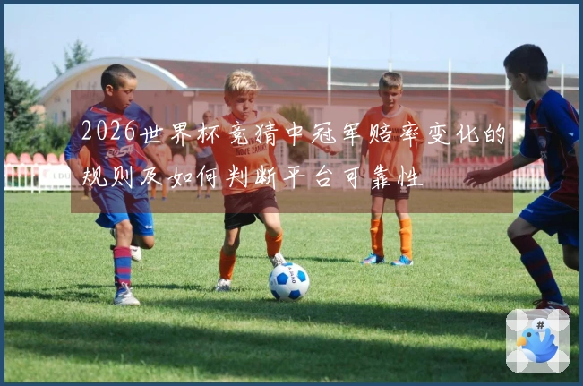 2026世界杯竞猜中冠军赔率变化的规则及如何判断平台可靠性