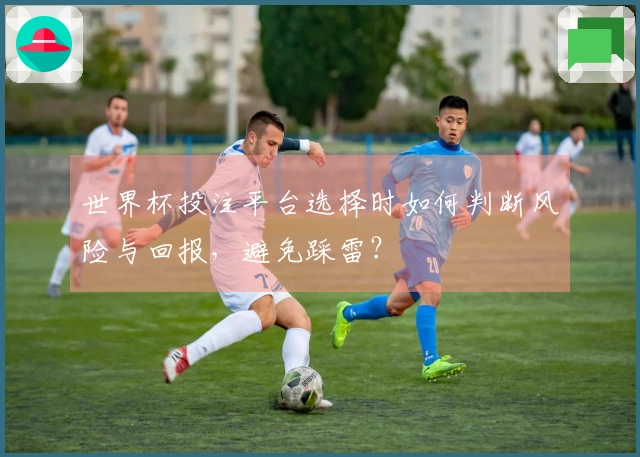 世界杯投注平台选择时如何判断风险与回报，避免踩雷？